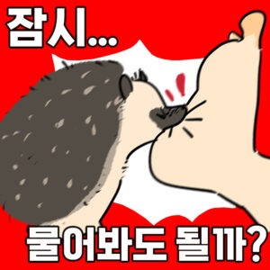 2. 물어봐도될까 테스트