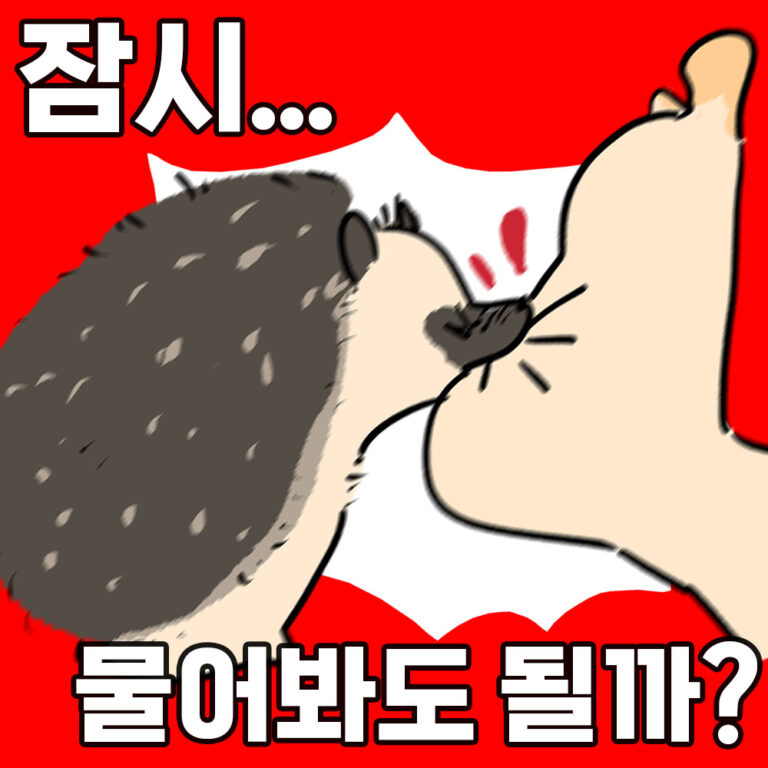 물어볼게 있는데 -MBTI 검사 성격 유형 빡침 테스트 6 2. 물어봐도될까 테스트