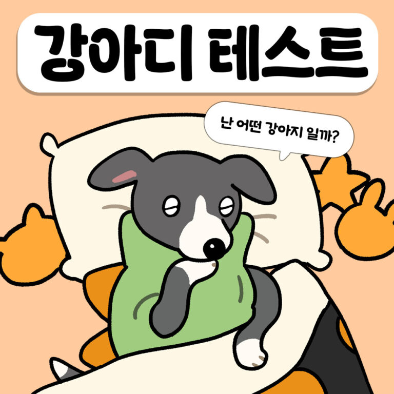 강아지(개) MBTI 성격 테스트 4 7. 강아디 테스트