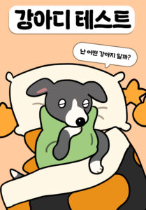 강아디 테스트 대문