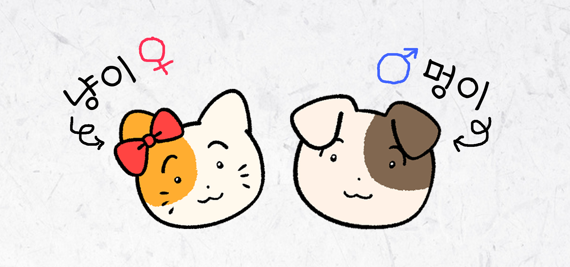 여자어테스트 중간 대문