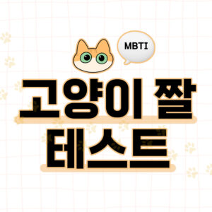 고양이 짤 테스트 대문 1