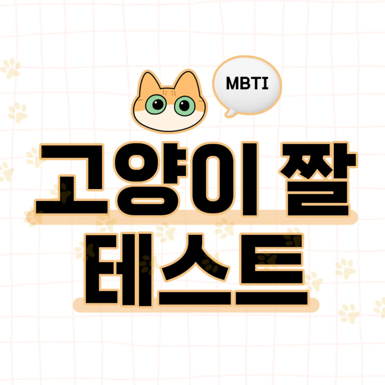 고양이 짤 테스트 대문 1