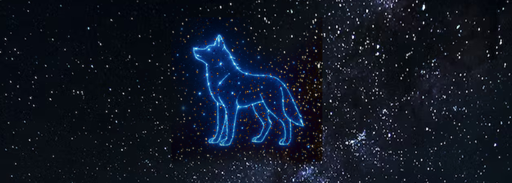 정신연령 테스트 중간대문